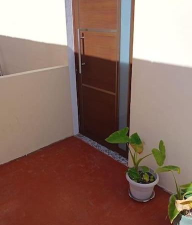 Casa Salina Apartamento Ilha das Mulheres Exterior foto