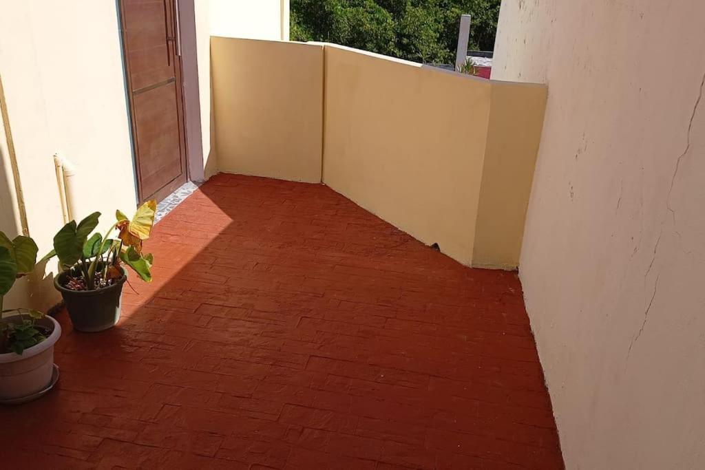 Casa Salina Apartamento Ilha das Mulheres Exterior foto